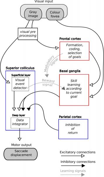 ecological_vision