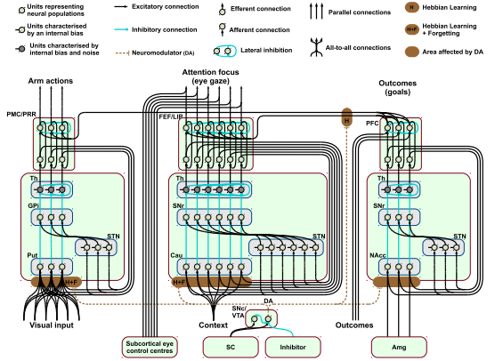 LOCEN image architecture IMs in brain from NN paper