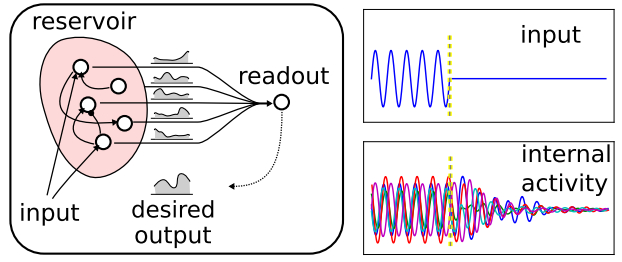 LOCEN image of reservoire network 